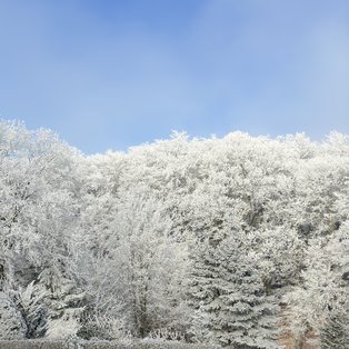 Friedhof Vahrendorf