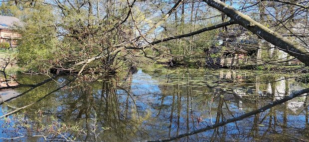 Weiher im Klecker Wald