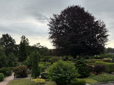 Friedhof Vahrendorf
